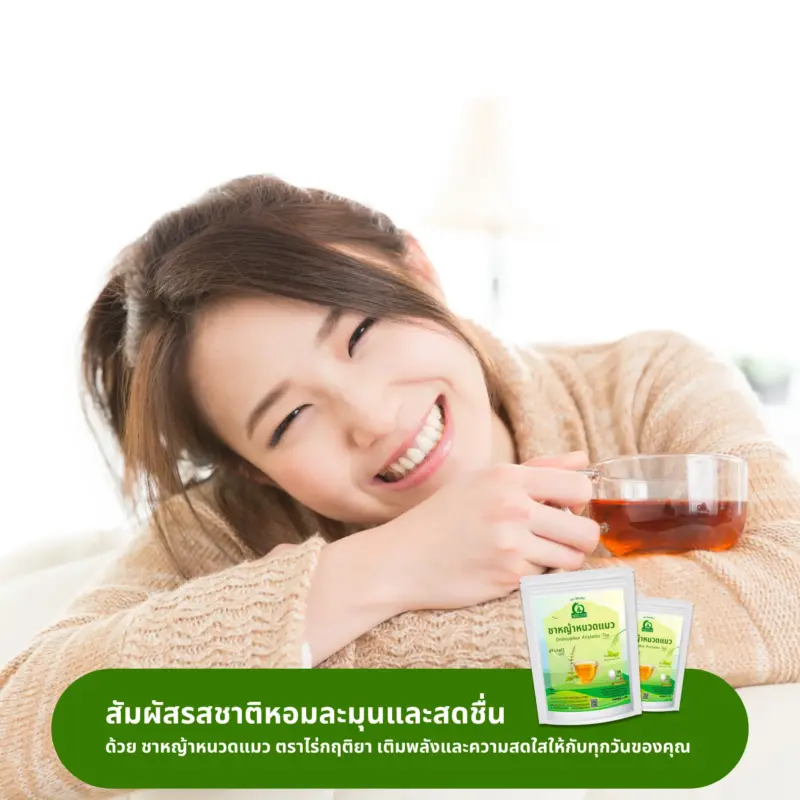 ดื่มชาหญ้าหนวดแมว
