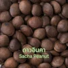 ถั่วดาวอินคา