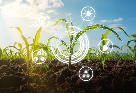 agriculture-is-the-way-of-sustainability
