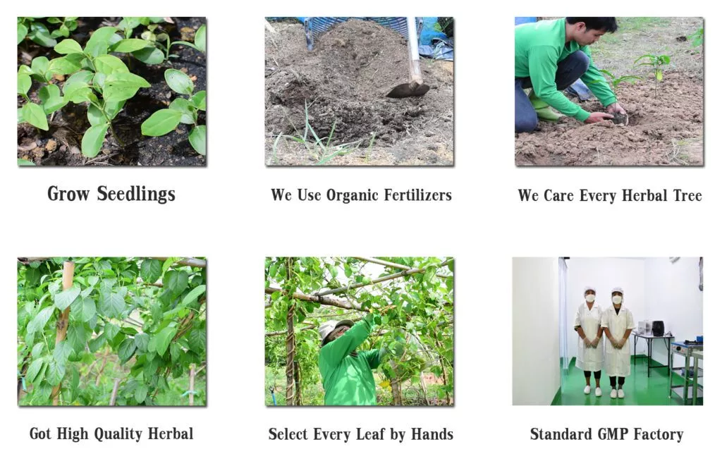 krittiya-garden-product-work-flow