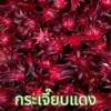 กระเจี๊ยบแดง