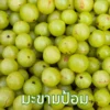 ผลมะขามป้อม