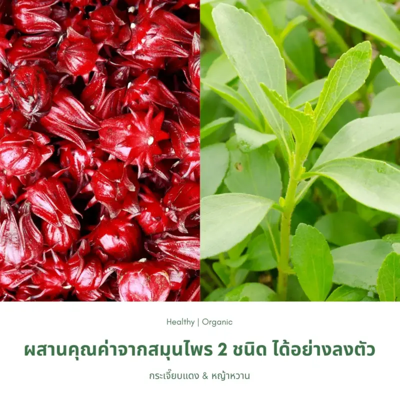 กระเจี๊ยบและหญ้าหวาน