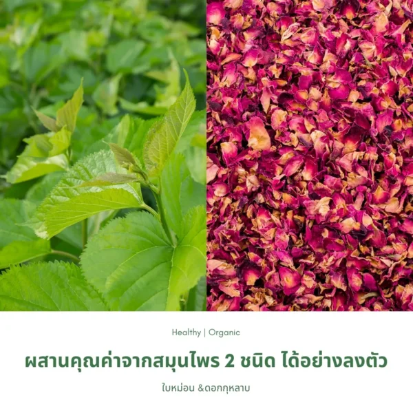 ใบหม่อนและดอกกุหลาบ