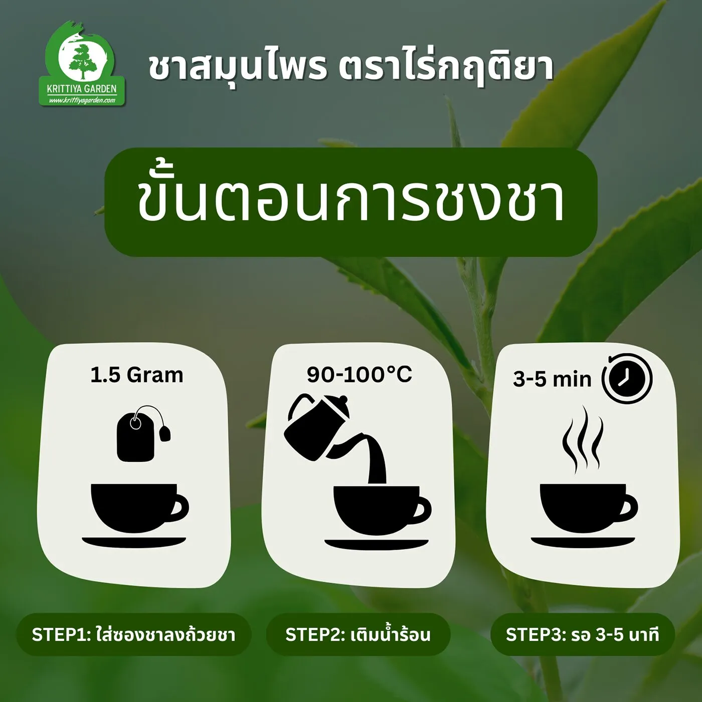 ขั้นตอนการชงชา