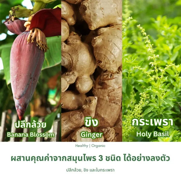 หัวปลีผสมขิงและใบกระเพรา