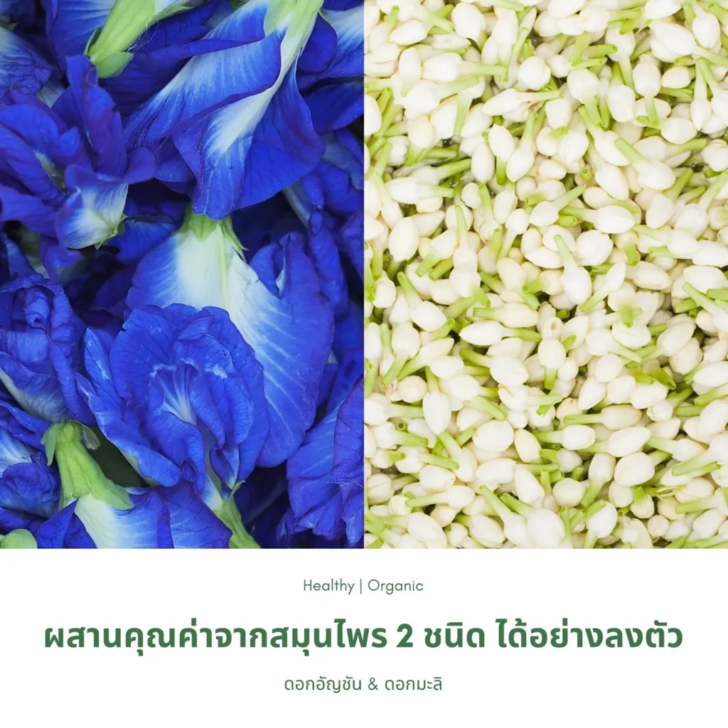 ดอกมะลิและดอกอัญชัน