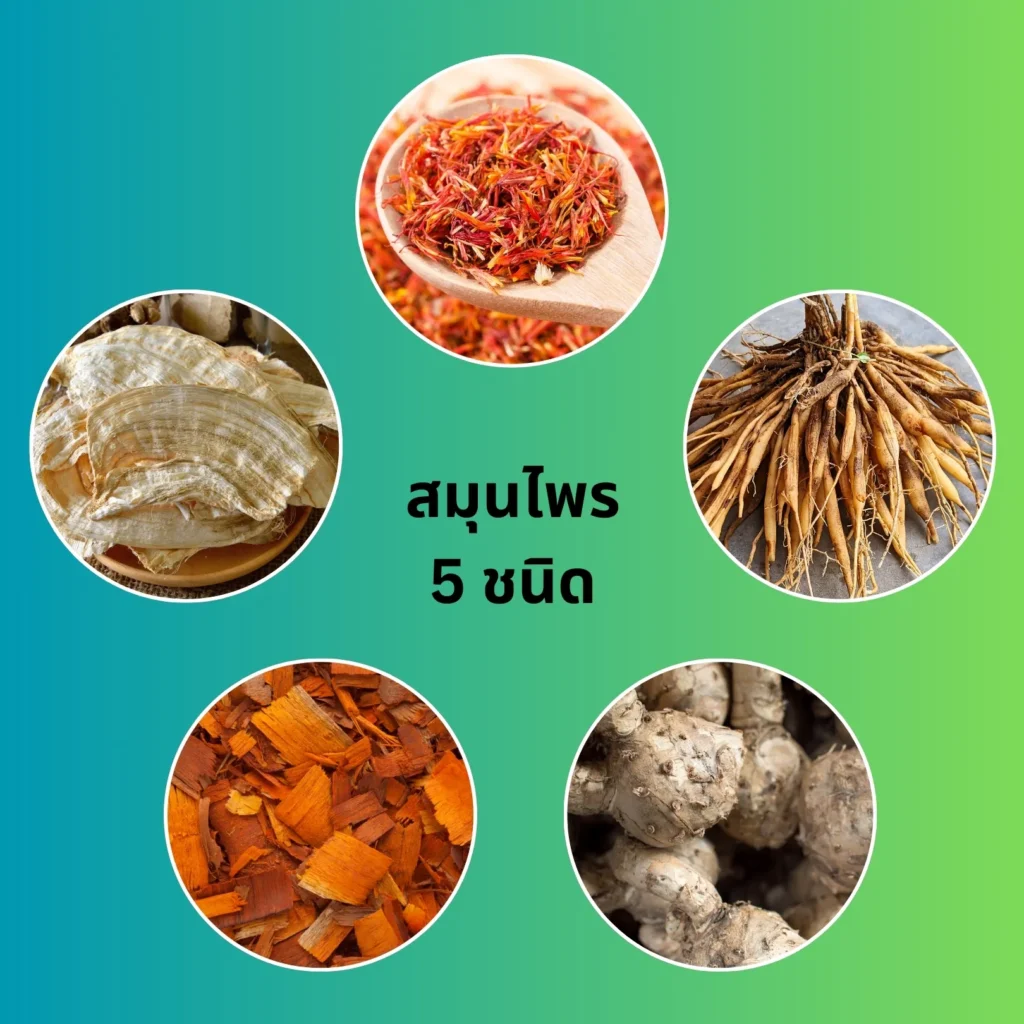 ชาบำรุงสตรี สมุนไพร 5 ชนิด