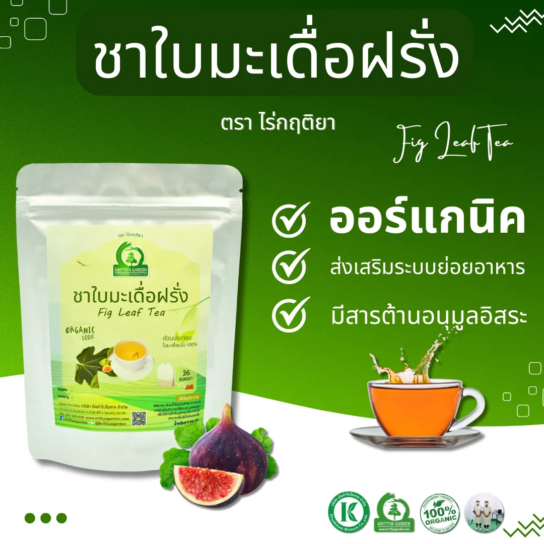 ชาใบมะเดื่อฝรั่ง