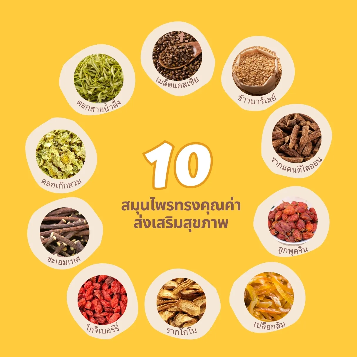 ชาจีนกล่องเหลือง สมุนไพร 10 ชนิด