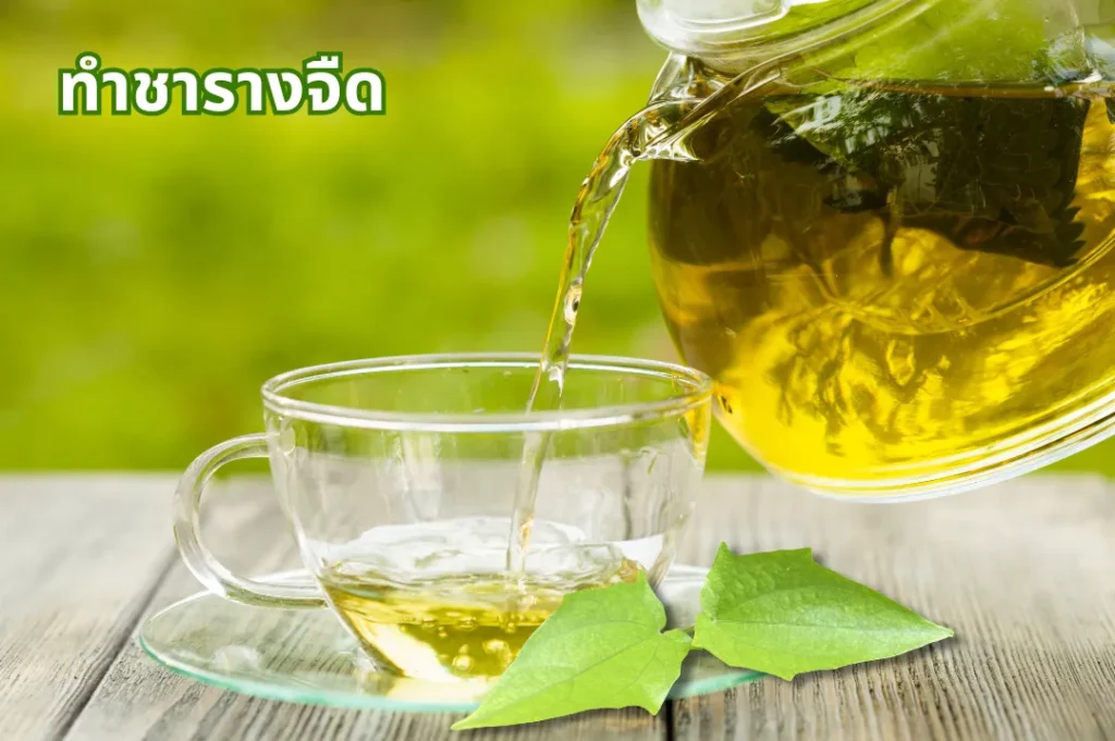 ทำชารางจืด