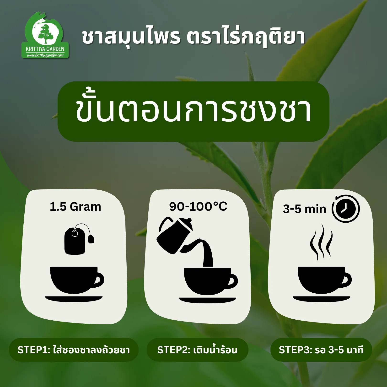 การชง ชาสเปียร์มินต์