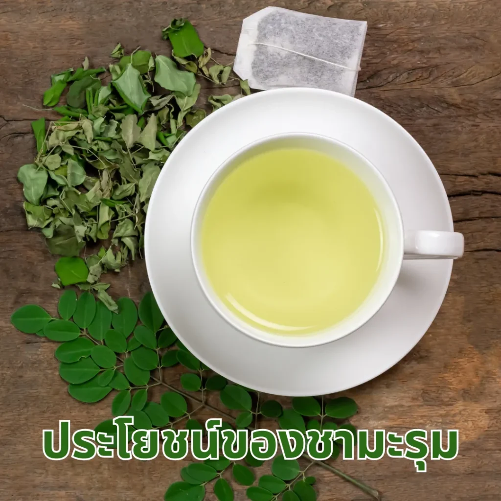 สรรพคุณชามะรุม, ชามะรุมแก้อะไรได้บ้าง, ชามะรุมควรกินตอนไหน