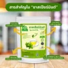 สารสำคัญในชาสเปียร์มินต์