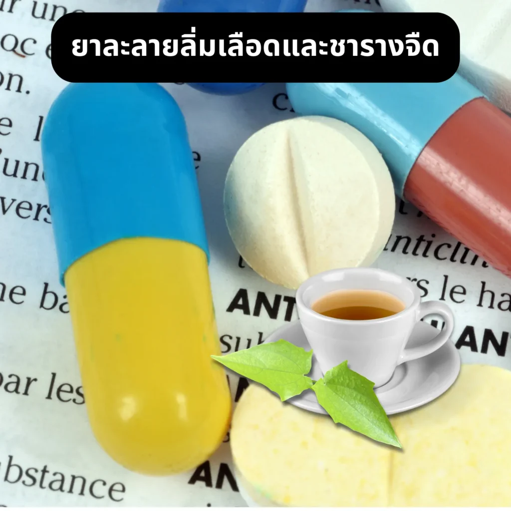ยาละลายลิ่มเลือดและชารางจืด