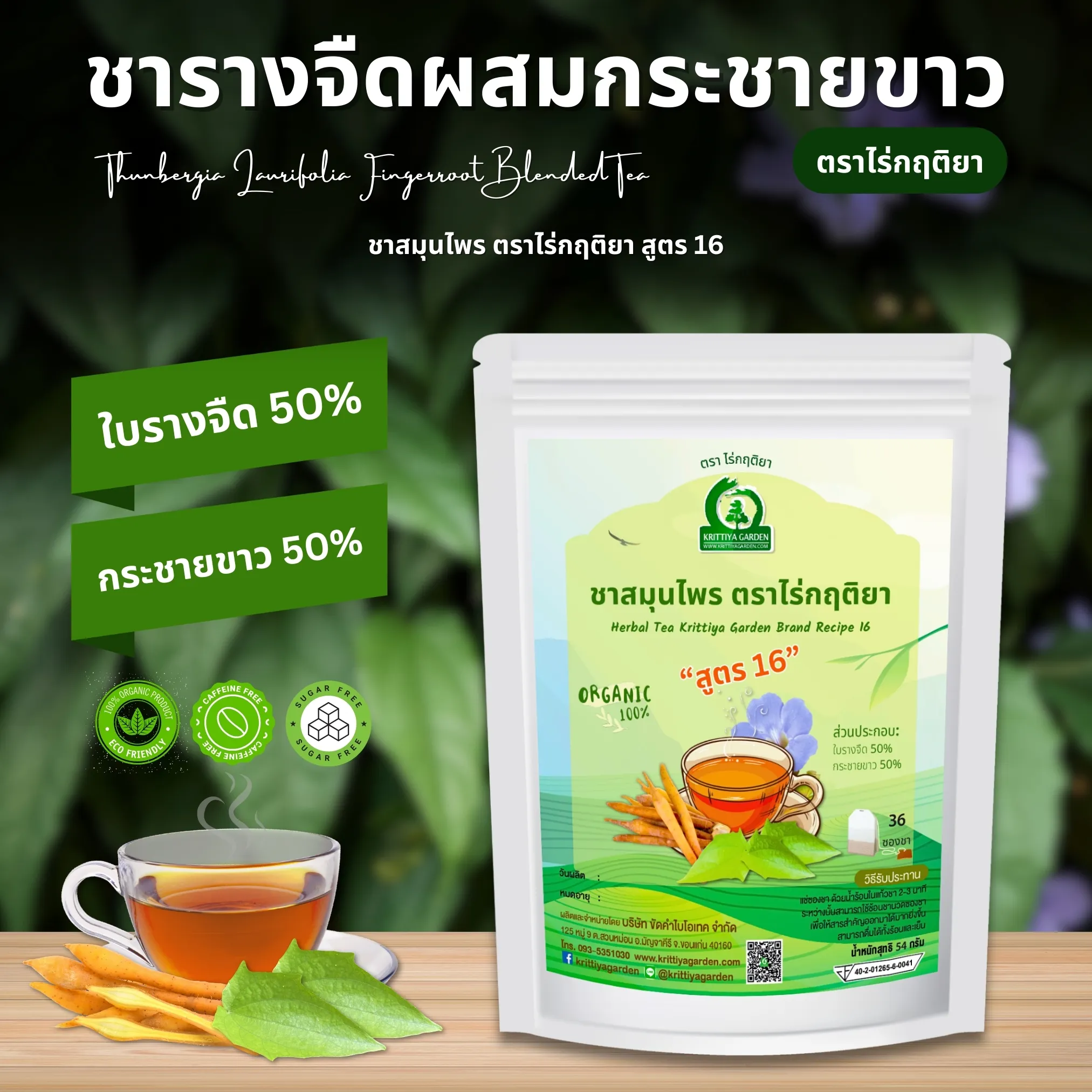 ชารางจืดผสมกระชายขาว