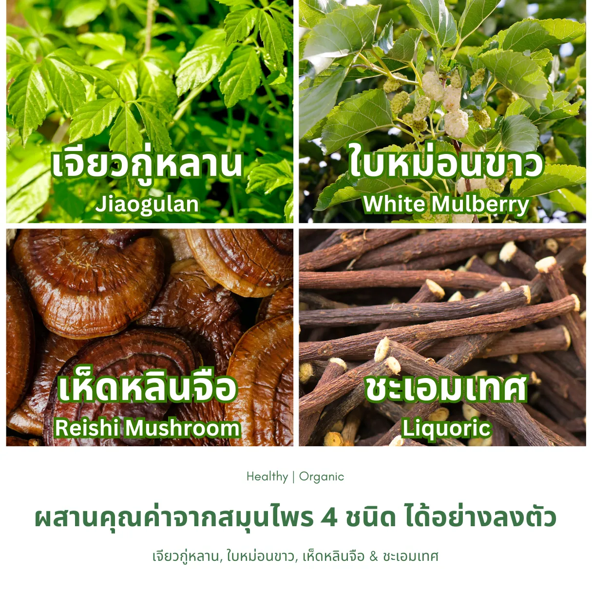 ชาโฟร์มิกซ์ ส่วนประกอบ
