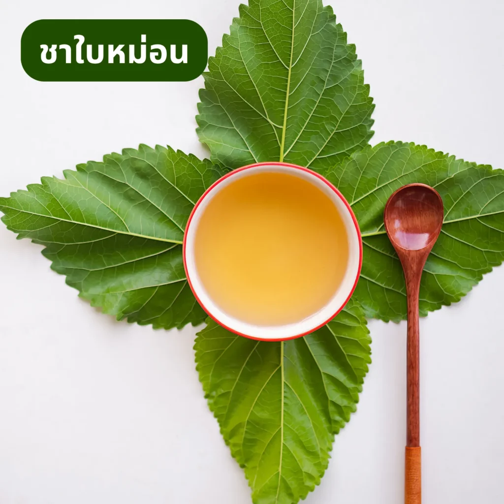 ชาใบหม่อน