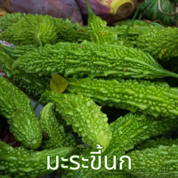 ผลมะระขี้นก