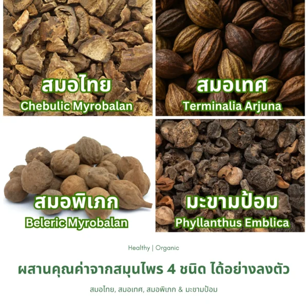 ชาจตุผลาธิกะ ส่วนประกอบ