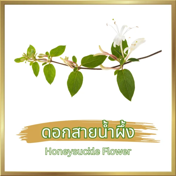 ดอกสายน้ำผึ้ง