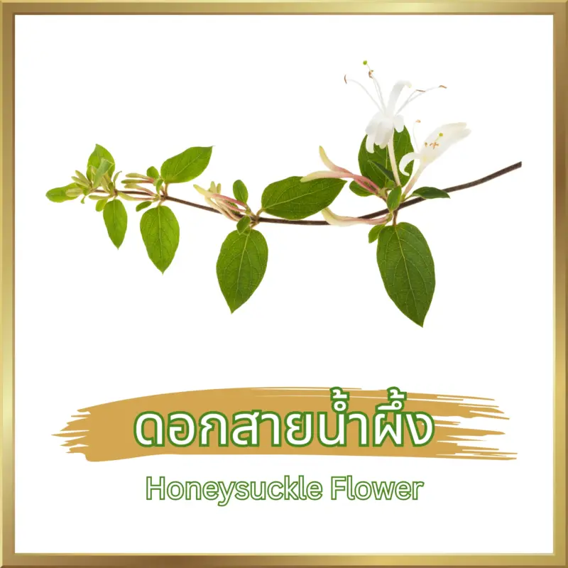 ดอกสายน้ำผึ้ง