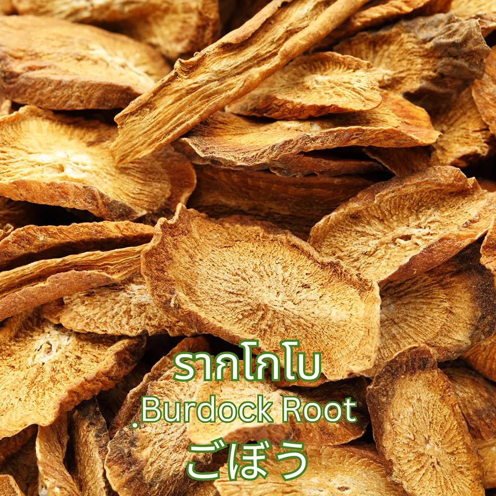 รากโกโบ