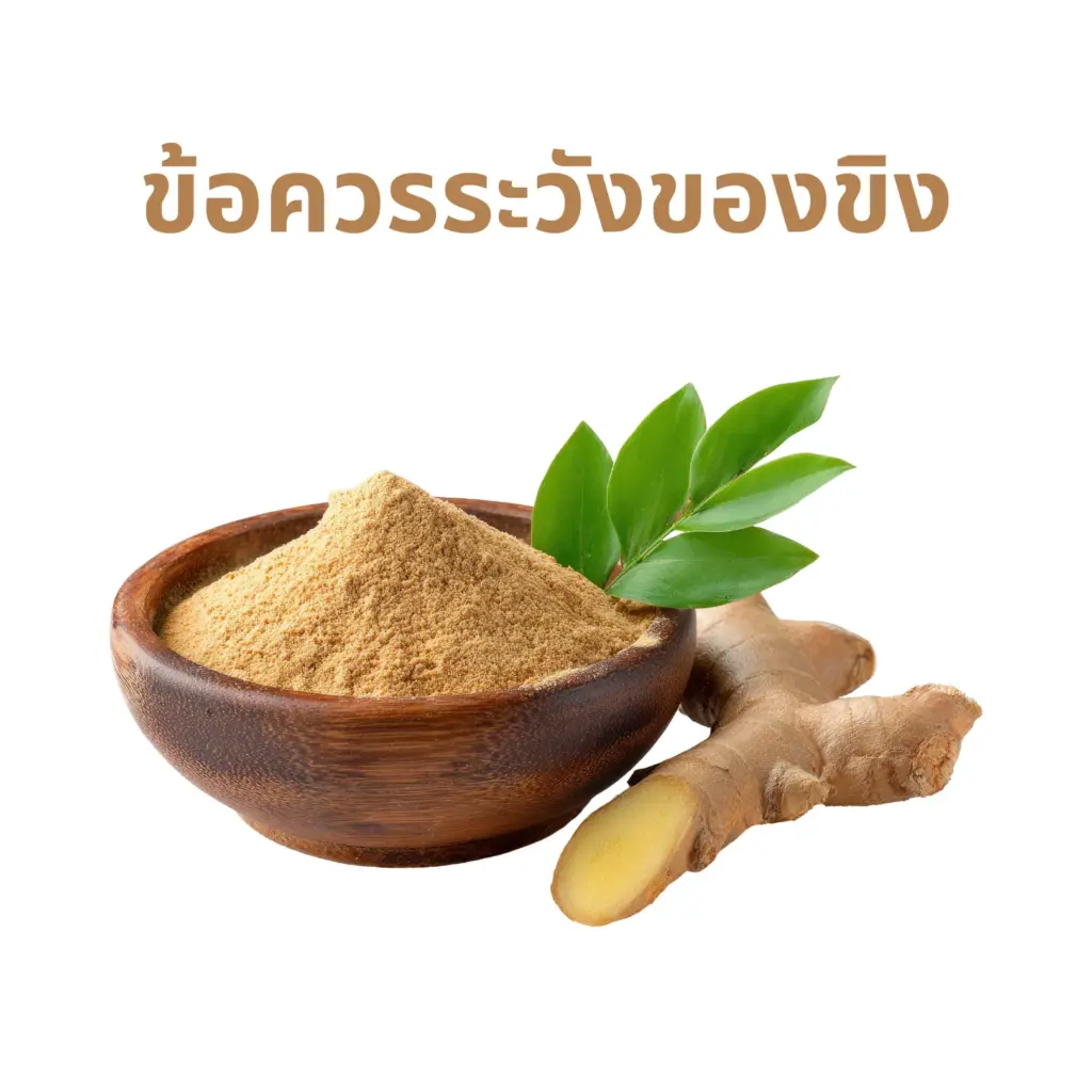 ข้อควรระวังของขิง