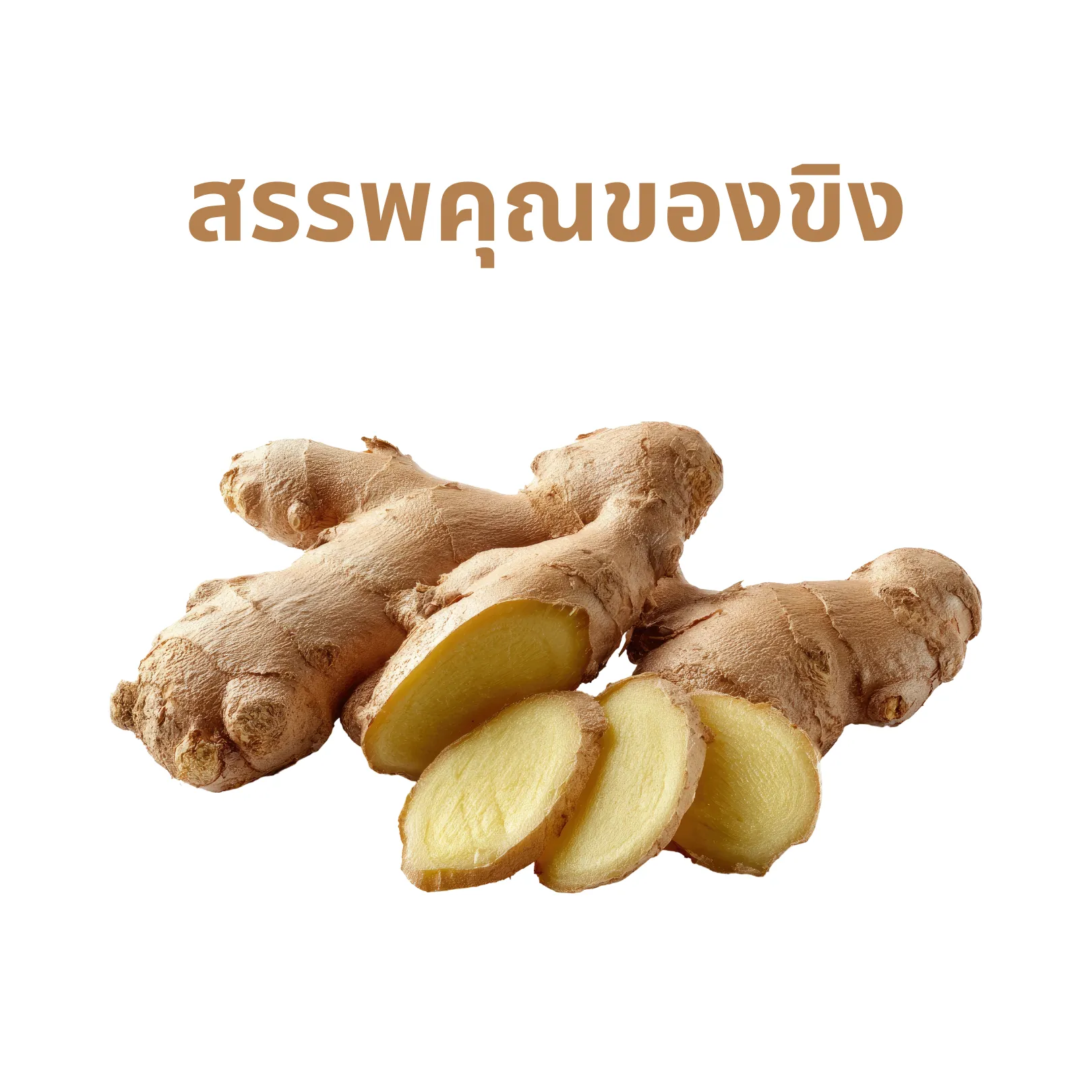 สรรพคุณของขิง