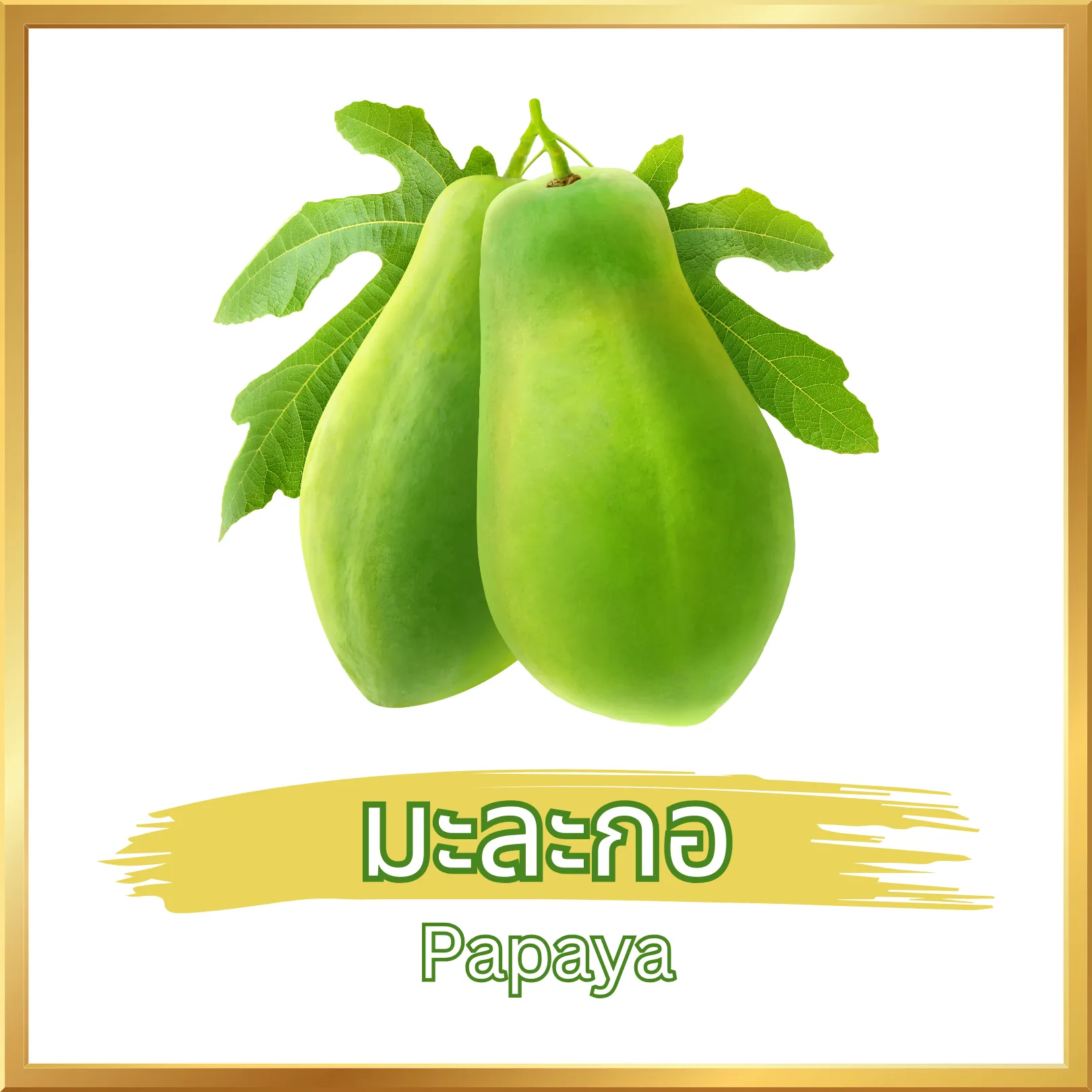 ผลมะละกอดิบ