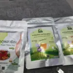 ชาจตุผลาธิกะ (Jatu Phala Thika Tea)