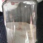 ชามะขามแขก (Senna Leaf Tea)