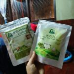 ชาดีบัว (Lotus Seed Heart Tea)