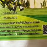 ชาดีบัว (Lotus Seed Heart Tea)