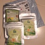 ชาใบแปะก๊วย (Ginkgo Biloba Leaf Tea)