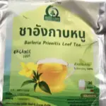 ชาอังกาบหนู (Barleria Prionitis Leaf Tea)