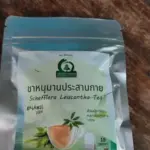 ชาหนุมานประสานกาย (Schefflera Leucantha Tea)