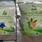 ชาหญ้าเอ็นยืด (Plantago Major, ผักกาดน้ำ)