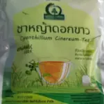ชาหญ้าดอกขาว (Cyanthillium Cinereum Tea, หญ้าหมอน้อย)