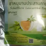 ชาหนุมานประสานกาย (Schefflera Leucantha Tea)