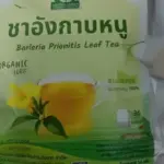 ชาอังกาบหนู (Barleria Prionitis Leaf Tea)