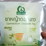 ชาหญ้าดอกขาว (Cyanthillium Cinereum Tea, หญ้าหมอน้อย)