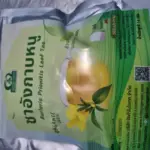 ชาอังกาบหนู (Barleria Prionitis Leaf Tea)