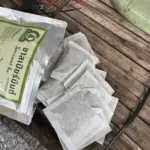 ชาสเปียร์มินต์ (Spearmint Tea)