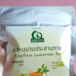 ชาหนุมานประสานกาย (Schefflera Leucantha Tea)