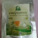 ชาหญ้าดอกขาว (Cyanthillium Cinereum Tea, หญ้าหมอน้อย)