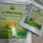 ชาอังกาบหนู (Barleria Prionitis Leaf Tea)