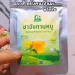 ชาอังกาบหนู (Barleria Prionitis Leaf Tea)