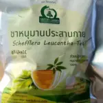 ชาหนุมานประสานกาย (Schefflera Leucantha Tea)