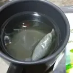 ชาเจียวกู่หลาน (Jiaogulan Tea)